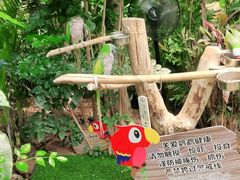 -温州乐园