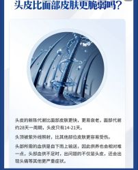 -Bollins波林丝•专研护发中心