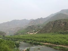 -小赖鱼馆