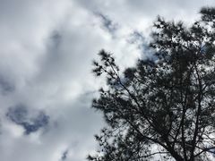 -河源万绿湖美思威尔顿酒店