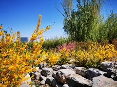 -大兴滨河森林公园