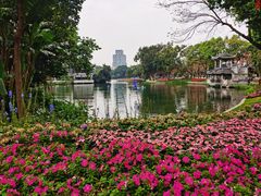 -荔湾湖公园