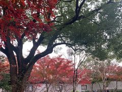 -桂林公园(地铁站)