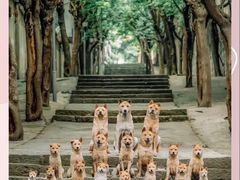 -曹杨影城(曹杨店)