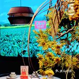 广州有家火了20年的湘菜扛把子，春季上新‼️