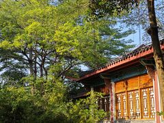 -大亚湾红树林城市湿地公园