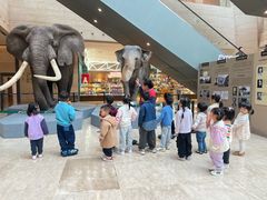 -宾果蒙特梭利托育儿童之家幼儿园(爱琴海店)