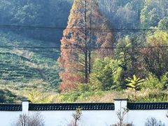 -余姚阳明温泉山庄