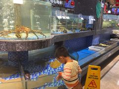 -海派美食·家宴海鲜青岛菜·石锅鲽鱼头(东方城店)