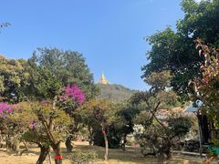 -云南勐巴娜西珍奇园