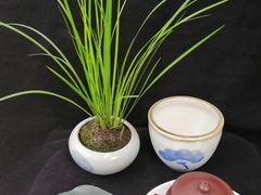 -秦美花卉(天朗·莱茵小城2期店)