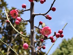 -玄武湖景区-情侣园游乐场