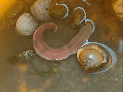 -北海金海湾红树林生态旅游区