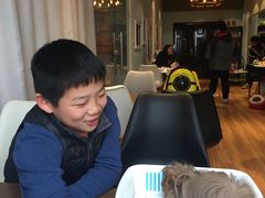 -藦茜花园宠物主题亲子互动体验馆(国顺东路店)