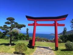 -芽庄珍珠岛游乐园