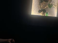 -臻享养生·SPA·影院式足道(汇臻店)