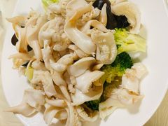 -鲁前海沿儿