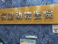 -瑞派名望24h动物医院异宠专科·猫专科·骨科·重症监护分院