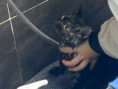 -贝利宠物医院·骨科·眼科·肿瘤转诊中心(南坪诊疗中心)