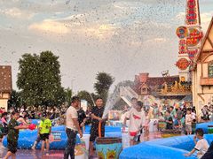 -祥源·阜阳生态乐园