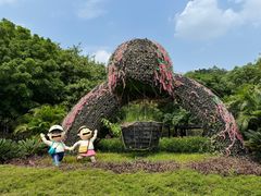 -王借岗森林公园