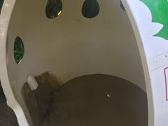 -100蛋泥浆浴