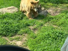 -西安秦岭野生动物园