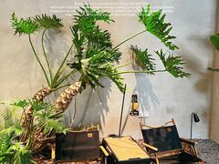 -J Create城市露营咖啡·简餐·宠物(上海动物园店)