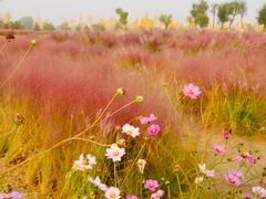 -汉长安城未央宫国家考古遗址公园