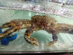 -聚鲜阁海鲜美食城(香水湾店)