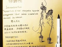 -荷兰布尔玛国际花艺学院