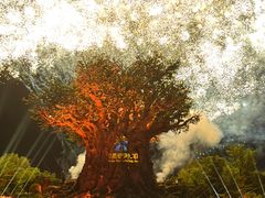 -葛记焖饼(伏牛路店)