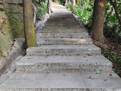 -火炉山森林公园