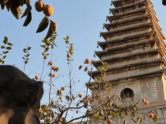 -北京石刻艺术博物馆(五塔寺)