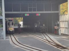 -黄海国家森林公园