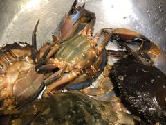 -海天盛宴新派海鲜自助餐厅(群力店)