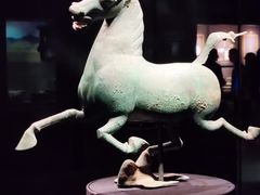 -甘肃省博物馆