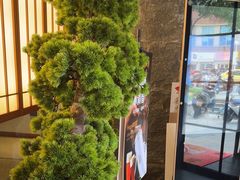 -桃夭日式料理(国信店)