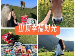 -大姆山草场