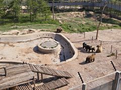 -青藏高原野生动物园