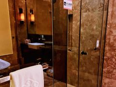 -河源万绿湖美思威尔顿酒店