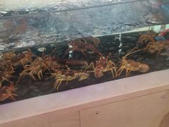 -福临门酒店·海鲜·家常菜·浑锅