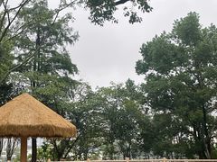 -武汉动物园