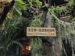 -南屏步行街
