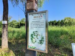 -翠湖国家城市湿地公园
