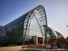 -南山植物园