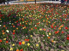 -长春公园(普阳街道)