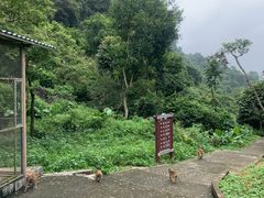 -广西龙虎山风景区