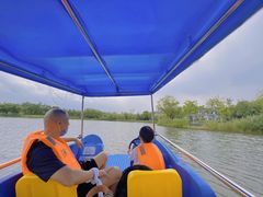 -上海长兴岛郊野公园