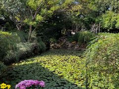 -上海醉白池公园